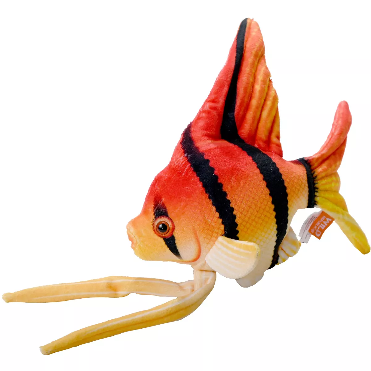 WR Coral Reef Angelfish 6"