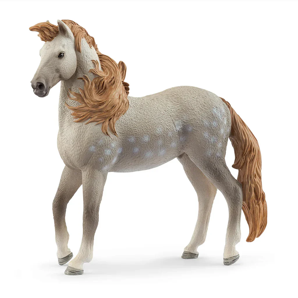 SC Andalusian Stallion 2025 (Grey Dot)