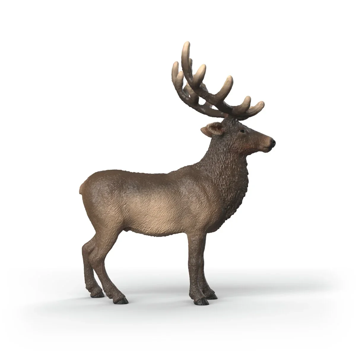 SC Elk (Grey) - Image 2